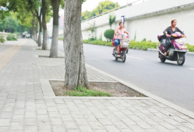  九都路的人行路面鋪設(shè)了透水磚，存在部分﹃海綿﹄功效。</P>
<P>一組研究數(shù)據(jù)顯示，若每棵樹的樹坑低于路面0.3米，下雨時便可蓄雨水0.432立方米。“下一步，洛陽也 將申報海綿城市造就汲引試點城市，示范區(qū)海綿城市造就汲引對于全市督促海綿城市造就汲引將供給很重要的經(jīng)驗。</P>
<P><B>[現(xiàn)狀]市區(qū)已有部分“海綿”結(jié)構(gòu)</B></P>
<P>這么高峻上，海綿城市會不會離現(xiàn)實很遠(yuǎn)？對此，胡斌詮釋說，實在海綿城市的雛形在洛陽已經(jīng)遍地可見，比方新建市區(qū)的人工湖、高空停車場鋪設(shè)的多孔磚、人行道上的透水鋪裝，這些步履方法在滿足市民操作以外，已經(jīng)兼?zhèn)洳糠帧昂＞d”功效。